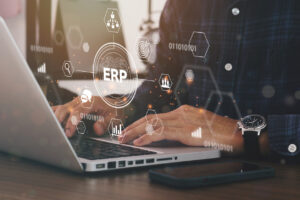 sistema erp