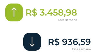 vhsys gráfico entradas e saídas