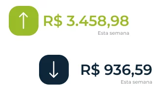 vhsys gráfico entradas e saídas