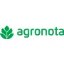 Agronota